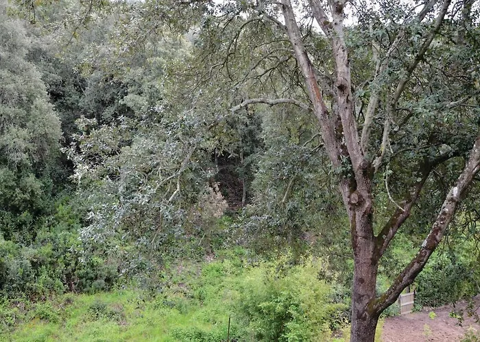 Xlvii Prázdninový dům